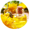 Dandelion Root Extract